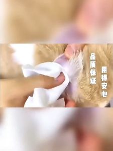 80 Pcs Pet Wipes for Cats & Dogs - Gentle Body Cleaning Stain Remover Deodorant Wipes (Non-Alcohol)