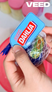 DAHLIA Double Colour Ball 135g Kamper Toilet Isi 2 Murah