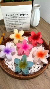 Kẹp Tóc Hình Hoa Sứ D88 Nhiều Màu Sắc Phong Cách Hawaii TTNTD88