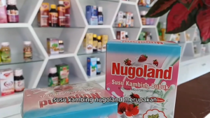 Nugoland Susu Bubuk Kambing Ettawa Bubuk rasa Stroberi Kemasan Box