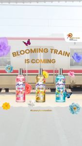 ♥ CANTIKA ♥ Marina deodorant roll on formula protection + whitening tahan 48jam