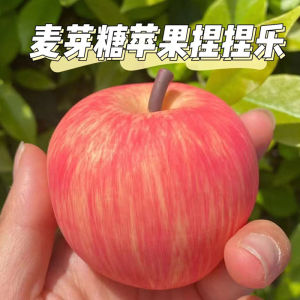 Đồ Chơi Giải Trí Giảm Căng Thẳng Hình Quả Táo Giả Nướng Chậm Hồi Phục Hình Quả Bóng Chữa Lành Vết Thương Cho Nam Và Nữ