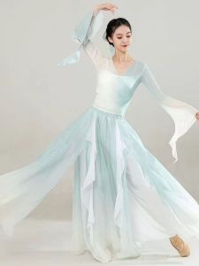 Classical Dancing Dress Womens Gradient Elegant Petal Culottes Body Charm Fairy Chinese Classic Dance Chinese Ancient Style Art Examination Mesh Exercise Clothing