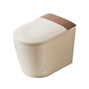 RIIFO | Antique Style Smart Toilet with Automatic Lid Opening and Foam Shield