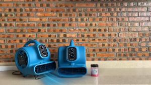 XPOWER P-250T Multifunctional Fan Timer Efficient Air Dryer Versatile Air Blower Freshen Aire Scented Air Mover with Timer and Power Outlets