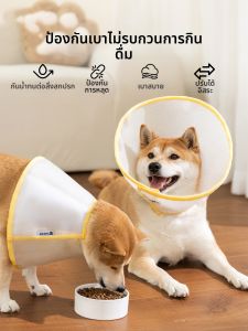 hipidog | Bite Licking Prevention Pet Hood