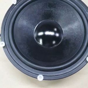 SPEAKER WOOFER ELSOUND 10" 10 INCH 10 IN MAGNET BESAR 150W ORIGINAL