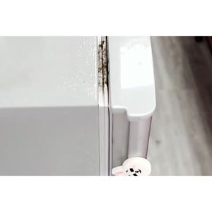 Gel tẩy mốc đa năng Mildew - Tẩy nấm mốc bồn rửa mặt gioăng cao su máy giặt mốc chân tường -Aeneas Shop