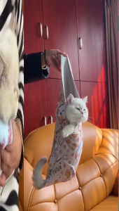 Multi-Functional Cat Wrap Cloth / 55cm/70cm Pet Magic Cloth / Anti Scratch Anti Run Cat Fixed Towel