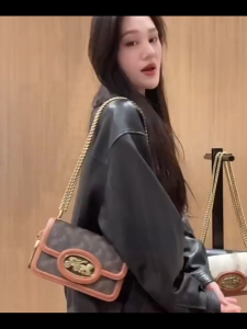 sling bag women original new womens bag carriage pattern print HERO shoulder bag small square bag chain bag CAS83 size: 21*15*5cm