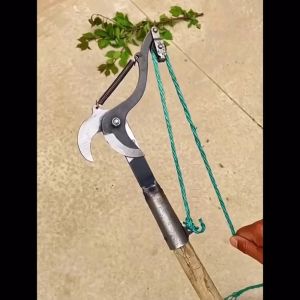 Đầu kéo cắt cành cây trên cao tỉa cây cảnh hái hoa quả màu đen