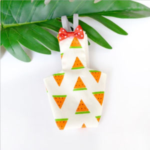 Parrot Diaper with Bowtie Cute Colorful Fruit Floral Cockatiel Pigeons Small Medium Pet Birds Flight Suit Clothes Washable
