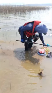 Essen Masyai Booster 30ml Spesial Ikan Air Tawar Gacor Harga Terjangkau