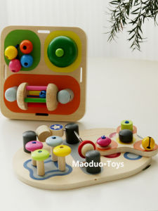 Sensory Learning Educational Toys Wooden Shapes Matching Hand-Eye Coordination