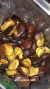 KACANG KORO KULIT BAL ISI 4 KG JAIPONG GURIH