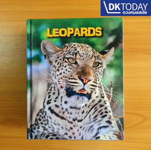 INFOSEARCH LIVING IN THE WILD : LEOPARDS BY DKTODAY