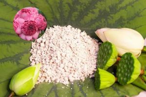 Bột củ Sen nguyên chất 1kg 🌱 Chiết xuất từ củ sen chắt lọc lấy tinh bột Sen  Theo Đông Y Bột Sen rất tốt cho sức khỏe dưỡng nhan nhuận sắc 🌱An tâm mua sắm tại omnimall 🌱