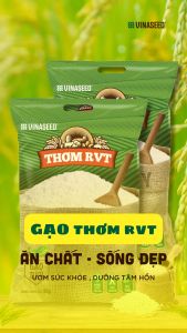 Gạo Thơm RVT Vinaseed túi 5kg - Hạt dẻo thơm hoa lài nhẹ