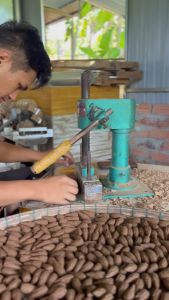 Nụ Trầm Gỗ Ngọc Am Xông Nhà Tự Nhiên 100% Không Hóa Chất Tạo Mùi Tịnh An Phong Thủy Hộp 52 Nụ.