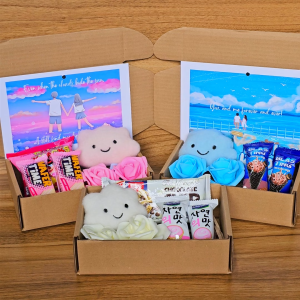 ✨Pink Cloud & Doll Gift Set for Her Valentine Clouds Plush w/ Free Message