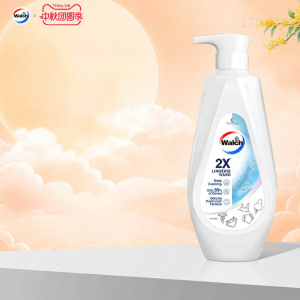 Walch | Underwear Cleaning Detergent Antibacterial Bloodstain Removal 500ml