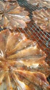 KHÔ CÁ ĐÙ XẺ XẾP BÔNG MAI ĐẸP MẮT THƠM NGON - VỰA KHÔ HÀ VY