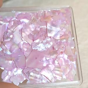 1 Kotak Nail Sequins Irregular Shells Untuk Dekorasi Manicure / Case Handphone