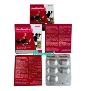 Vemedim LincoSpectina 10 viên - tiêu chảy viêm phổi mãn tính da khớp sinh dục tiết niệu