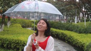 16 Bones Transparent Umbrella Thick Transparent Umbrella Long Handle Automatic Umbrella DIY Dance Advertising Props