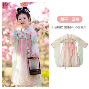 Baby Style Pink Embroidered Hanfu Dress for Little Girls Spring Autumn Childrens Tang Suit Traditional Chinese Costume Kids