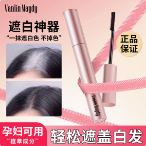 Vanlin Maydy Disposable Plant-Based Hair Dyeing Pen Temporary Grey Hair Covering Tool Easy to Use Black Hair Root Coloring