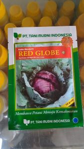 BENIH KUBIS MERAH RED GLOBE F1 TANI MURNI // BENIH KOL MERAH