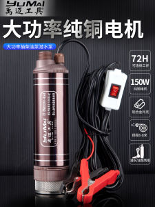 High Power 12V Electric Submersible Pump Small Portable Dual Purpose Oil Water Pump 24V DC 220V for Home Use Aluminum Alloy