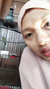 Tepung Kelabang Super 80g Suplemen Penggacor Vitamin Burung Murai Batu Cucak ijo Kacer