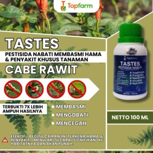 Obat Semprot Pelebat Buah Cabe / Obat Semprot Untuk Tanaman Cabai / Obat Penyubur Cabe Rawit / Obat Semprot Buah Lebat / Obat Semprot Pematang Buah Cabe