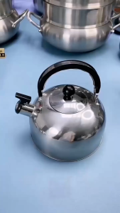 Stainless Steel Whistling Kettle - Induction & Gas Stove Compatible Rustproof Tea Pot for Home & Camping (Takure)