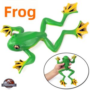 Educational Realistic Solid Frog Model Toy