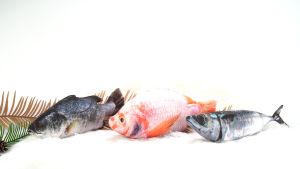 ตุ๊กตาปลา ตุ๊กตา ของเล่นสัตว์เลี้ยง มีประโยขน์ แมวชอบ ของเล่นแมว สีสันสดใส น่ารัก หมอนตุ๊กตาของเล่นแมว