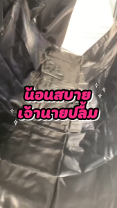 เบาะรองกันเปื้อนในรถสำหรับสุนัขและแมว เบาะสุนัขในรถ ผ้าคุมเบาะหลังรถยนต์ แผ่นรองเบาะ/ Car Back Seat Cover for Pet