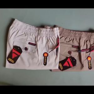 Celana Pendek Pria Boardshort [27-38] Santai Stretch Kolor RPD28A