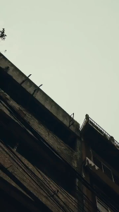 KANKY x SBTG x STAPLE Story Fuji & K-FLEX - Sepatu Casual Sport Style Pria Dewasa - Kanky Sportstyle