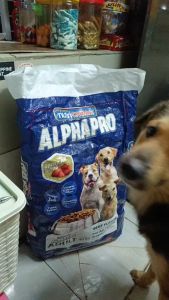 10kg NutriChunks Alpha Pro Regular Bites Puppy Bites Dry Pet Food All Stages Adult Puppy Pet Food