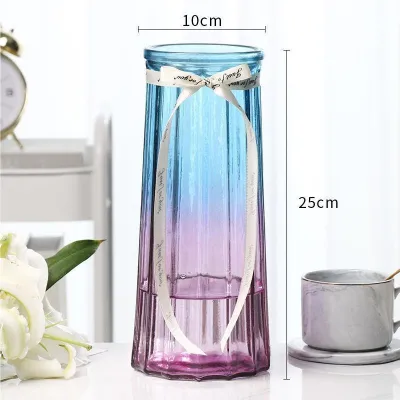 Defasilk | Water Cultivation Plastic Vase Transparent Decoration