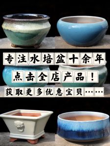 No-Hole Ceramic Flower Pots for Hydroponic Plants Water Storage Lotus Sleepy Daisy Pot Money Plant Bowl Simple round Desktop