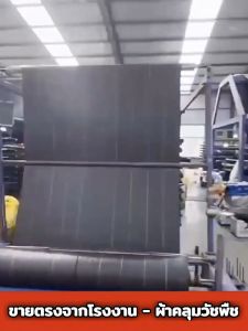 คลุมดินป้องกันวัชพืช ผ้ากันน้ำสำหรับสวน ดีไซน์สวยงาม ขนาด 1x5M/1x10M/1x50M/1x100M/1.5x10M/1.5x50M/1.5x100M/2x10M/2x50M/2x100M/3x10M