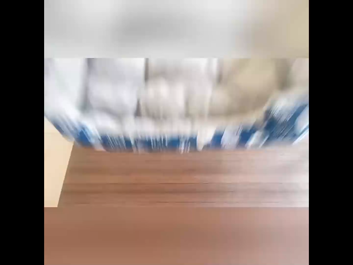 ที่นอนแมวขนาด XL ลายน่ารัก 80x60 ซม.