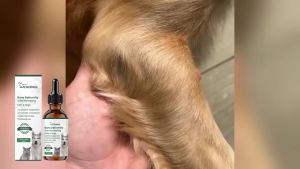 Dog Joint Care Drop Joint Discomfort Relief Bone Deformity Repair Arthritis Healing Hip Joint Supplement Pet Bone Care Solution