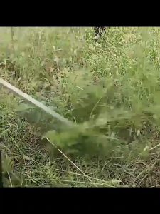 มีดพร้า-เคียวตัดกิ่งไม้ คุณภาพดี ใช้งานหนักได้ ไม่กลัวทดสอบ ME0069