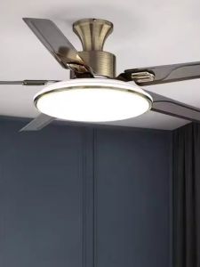 Nordic Style Iron Leaf Ceiling Fan Light Stainless Steel Modern Simple Living Room Absorption Top Fan Light Remote Control