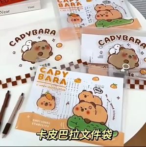 (READY STOCK) Transparent Capybara Big Zipper Storage File Children Birthday Present Gift 指环拉边袋防水透明资 bag simpanan